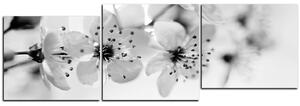 Obraz na plátně - Malé květy na větvi - panoráma 5173QE (90x30 cm)