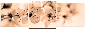 Obraz na plátně - Malé květy na větvi - panoráma 5173FD (150x50 cm)