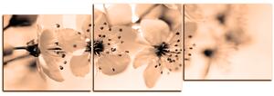Obraz na plátně - Malé květy na větvi - panoráma 5173FE (90x30 cm)