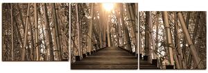 Obraz na plátně - Dřevěná promenáda v bambusovém lese - panoráma 5172FE (150x50 cm)