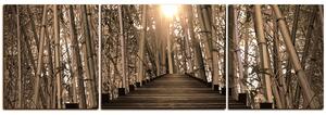 Obraz na plátně - Dřevěná promenáda v bambusovém lese - panoráma 5172FC (150x50 cm)