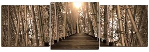 Obraz na plátně - Dřevěná promenáda v bambusovém lese - panoráma 5172FD (150x50 cm)