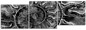 Obraz na plátně - Textura fosílie - panoráma 5174QE (150x50 cm)