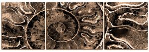 Obraz na plátně - Textura fosílie - panoráma 5174FC (90x30 cm)