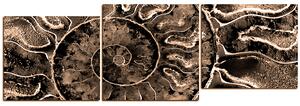 Obraz na plátně - Textura fosílie - panoráma 5174FE (90x30 cm)