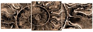 Obraz na plátně - Textura fosílie - panoráma 5174FD (90x30 cm)