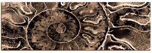 Obraz na plátně - Textura fosílie - panoráma 5174FA (105x35 cm)