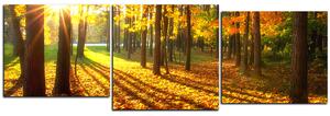 Obraz na plátně - Podzimní les - panoráma 5176D (150x50 cm)