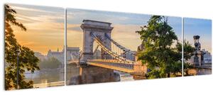 Obraz - Most přes řeku, Budapešť, Maďarsko (170x50 cm)