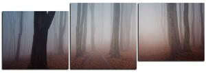 Obraz na plátně - Mlha v lese - panoráma 5182E (150x50 cm)