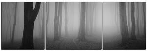 Obraz na plátně - Mlha v lese - panoráma 5182QC (150x50 cm)