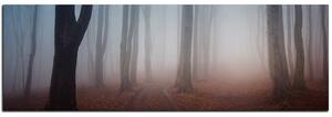 Obraz na plátně - Mlha v lese - panoráma 5182A (105x35 cm)