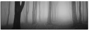 Obraz na plátně - Mlha v lese - panoráma 5182QA (105x35 cm)