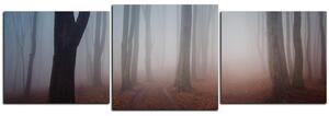 Obraz na plátně - Mlha v lese - panoráma 5182D (150x50 cm)