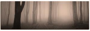Obraz na plátně - Mlha v lese - panoráma 5182FA (105x35 cm)