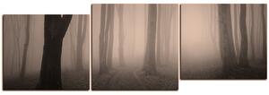 Obraz na plátně - Mlha v lese - panoráma 5182FE (90x30 cm)