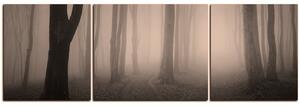 Obraz na plátně - Mlha v lese - panoráma 5182FC (150x50 cm)