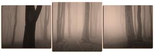 Obraz na plátně - Mlha v lese - panoráma 5182FD (150x50 cm)