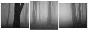 Obraz na plátně - Mlha v lese - panoráma 5182QD (90x30 cm)