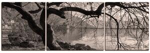 Obraz na plátně - Podzim u jezera - panoráma 5198QC (150x50 cm)