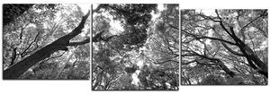 Obraz na plátně - Zelené stromy v lese - panoráma 5194QE (150x50 cm)