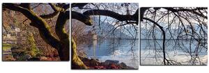 Obraz na plátně - Podzim u jezera - panoráma 5198D (150x50 cm)