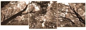 Obraz na plátně - Zelené stromy v lese - panoráma 5194FE (90x30 cm)