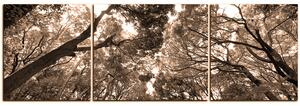 Obraz na plátně - Zelené stromy v lese - panoráma 5194FC (90x30 cm)