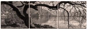 Obraz na plátně - Podzim u jezera - panoráma 5198QB (150x50 cm)