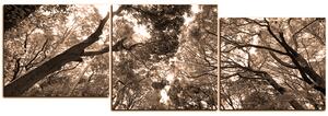 Obraz na plátně - Zelené stromy v lese - panoráma 5194FD (150x50 cm)