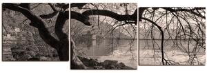 Obraz na plátně - Podzim u jezera - panoráma 5198QD (90x30 cm)