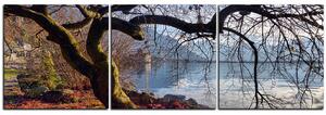 Obraz na plátně - Podzim u jezera - panoráma 5198B (150x50 cm)