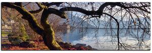 Obraz na plátně - Podzim u jezera - panoráma 5198A (105x35 cm)