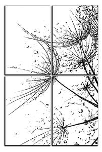 Obraz na plátně - Pampelišková semínka s kapkami vody - obdélník 7202QE (120x80 cm)