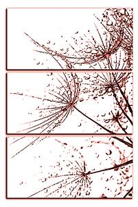 Obraz na plátně - Pampelišková semínka s kapkami vody - obdélník 7202KB (105x70 cm)