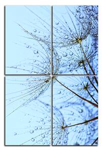Obraz na plátně - Pampelišková semínka s kapkami vody - obdélník 7202E (90x60 cm)