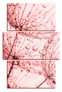 Obraz na plátně - Pampeliška s kapkami vody - obdélník 7203KC (90x60 cm)