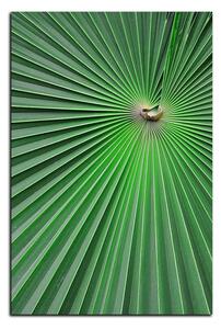 Obraz na plátně - Tropické listy - obdélník 7205A (90x60 cm )