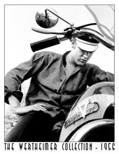 Plechová cedule Elvis on Bike 40 cm x 32 cm