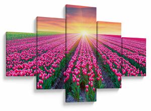 Obraz pole tulipánů se sluncem (125x70 cm)
