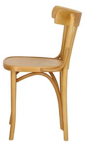 Židle Fameg A-788 VERT standard tvrdé dřevo