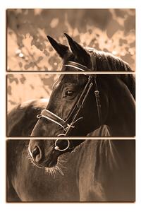 Obraz na plátně - Černý kůň - obdélník 7220FB (90x60 cm )