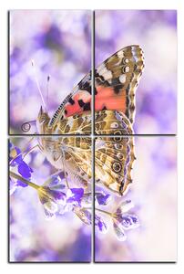 Obraz na plátně - Motýl na levandule - obdélník 7221E (90x60 cm)