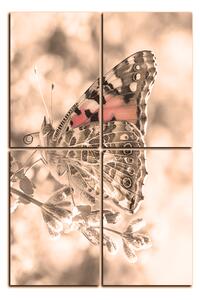 Obraz na plátně - Motýl na levandule - obdélník 7221FE (90x60 cm)