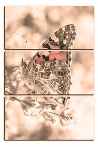 Obraz na plátně - Motýl na levandule - obdélník 7221FB (90x60 cm )