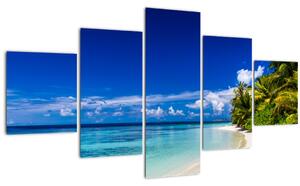 Obraz tropické pláže (125x70 cm)