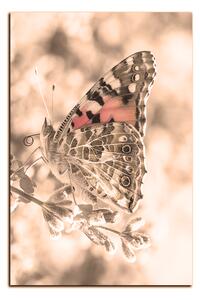 Obraz na plátně - Motýl na levandule - obdélník 7221FA (100x70 cm)