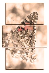 Obraz na plátně - Motýl na levandule - obdélník 7221FC (90x60 cm)