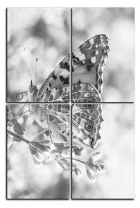 Obraz na plátně - Motýl na levandule - obdélník 7221QE (120x80 cm)