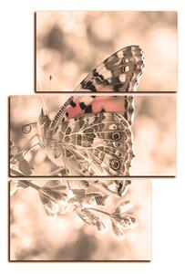Obraz na plátně - Motýl na levandule - obdélník 7221FD (120x80 cm)